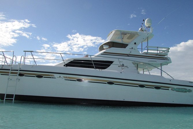 Turks and Caicos Full-Day Luxury Private Yacht Charter - Key highlights to know before you go