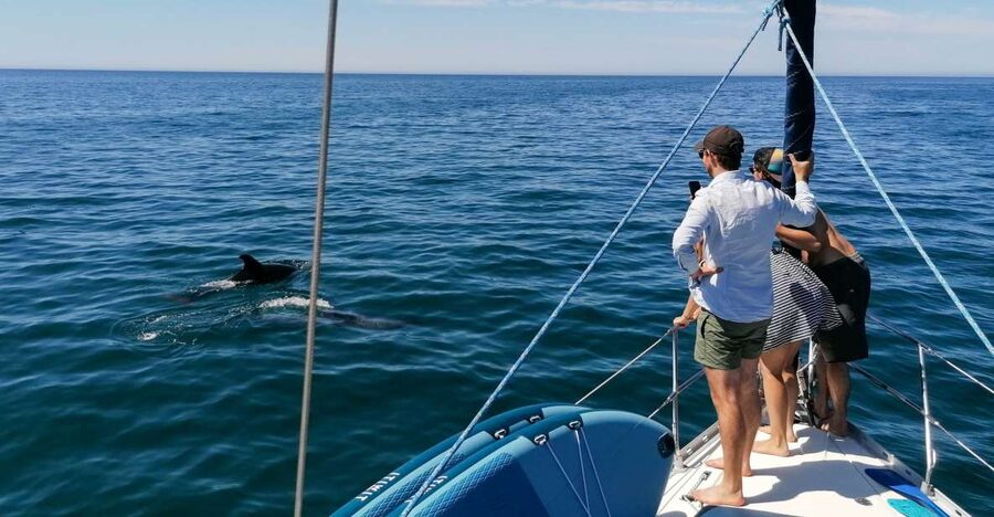 Vilamoura: Coastal Cruise on a Luxury Sailing Yacht - Quick Hit Points