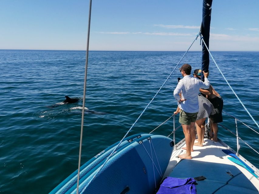 Vilamoura: Coastal Cruise on a Luxury Sailing Yacht - Drinks, Music, and Bar Service: The Social Part of the Cruise