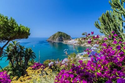 VIP Yacht Escape from Rome to Naples Island Gems Ischia & Procida - Procida at Your Pace: Pastel Streets, Marina Views, and Secret Coves