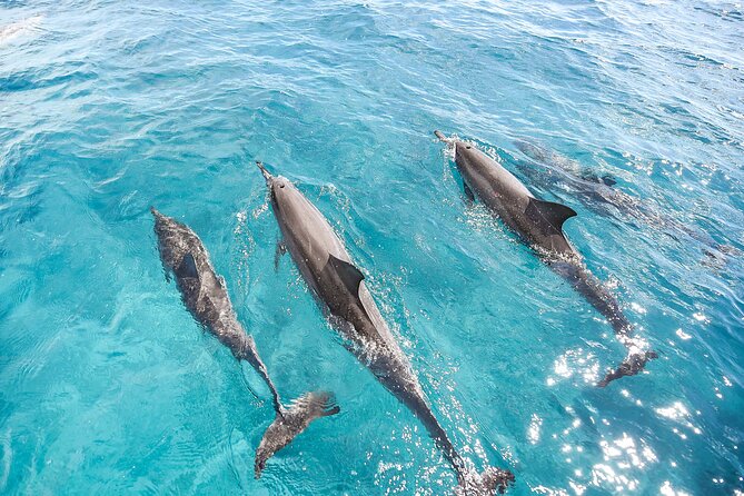 Waikiki's Premier Small Group Sunset Yacht + Tasting - The Captain’s Tasting Menu: Dinner Without the Restaurant Fuss