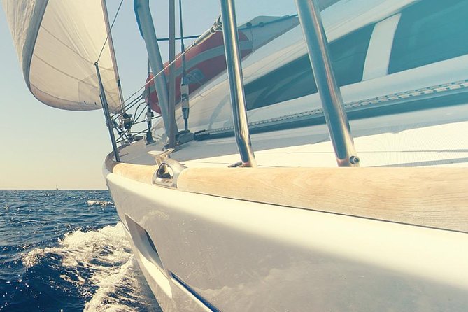 Whale and Dolphin Watching Yacht Trip in Puerto Colon - The Ocean Game Plan: How the Captain Helps You Spot Whales and Dolphins