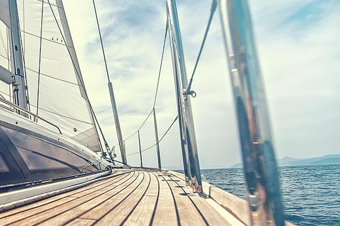 Whale and Dolphin Watching Yacht Trip in Puerto Colon - What You’re Actually Doing for 3 Hours (Plus What Weather Can Change)