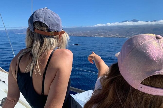Whale and Dolphin Watching Yacht Trip in Puerto Colon - The 19:00 Sunset Option: Later Light, Different Trade-Off