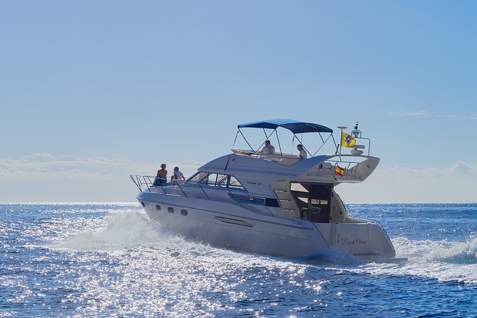 Whales and Dolphins excursion on a Luxury Yacht in Canary Islands - Key reasons this trip works