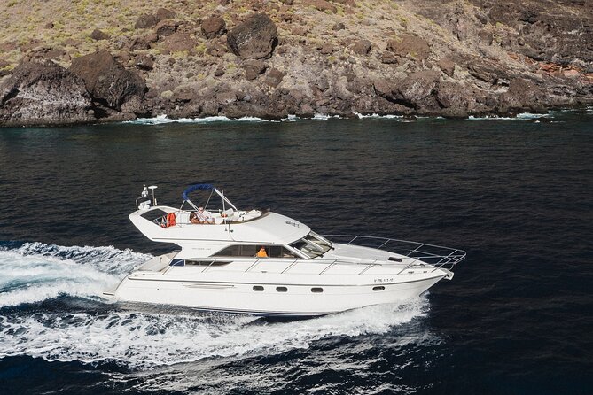 Whales and Dolphins excursion on a Luxury Yacht in Canary Islands - Getting to the boat: Las Galletas meets easy pickup