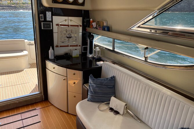 Whales and Dolphins excursion on a Luxury Yacht in Canary Islands - Stop 1 near Las Galletas: whale and dolphin search with live commentary