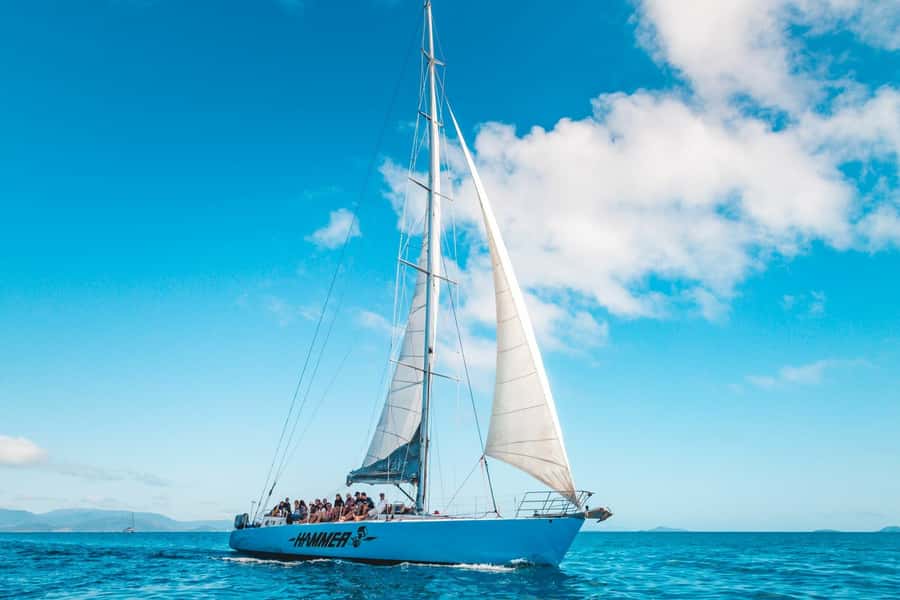 Whitsundays: 2-Day, 2-Night Maxi Yacht Sailing Adventure - Snorkeling the Fringing Reefs: What You Can Expect to See