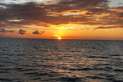 Yacht Charter Madeira beach and Tampa Bay - Your 4-Hour Plan: Tampa Bay Cruise First, Then Time Toward Pine Key/BCI